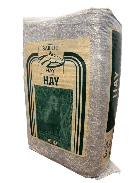 *NEW* Baillie Hay
