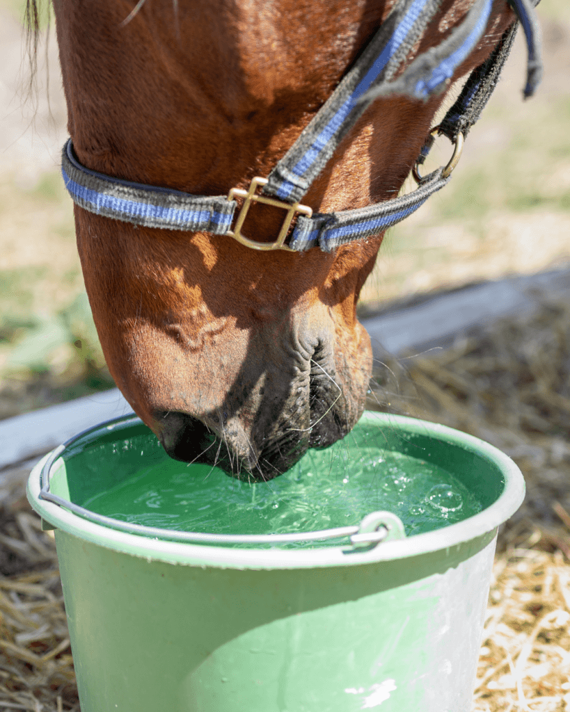Hydration